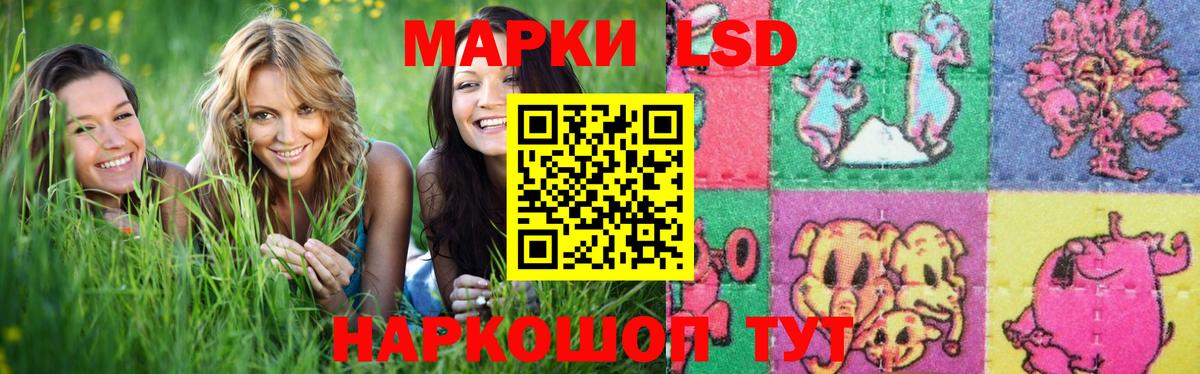 НБОМе Сочи