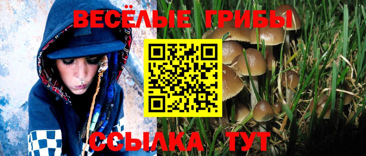 Галлюциногенные грибы Psilocybe  Галлюциногенные грибы MAGIC MUSHROOMS  Сочи  Вход с VPN 