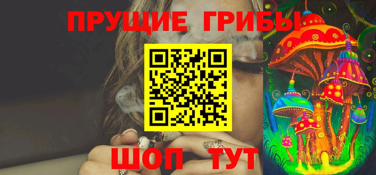 Псилоцибиновые грибы Psilocybe Сочи