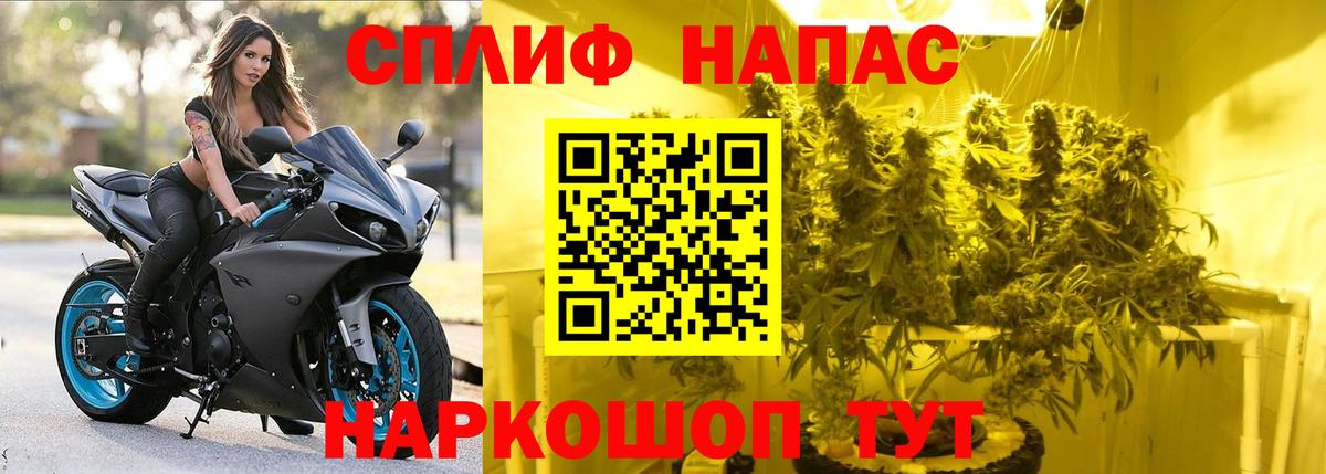 Бошки марихуана Amnesia Сочи